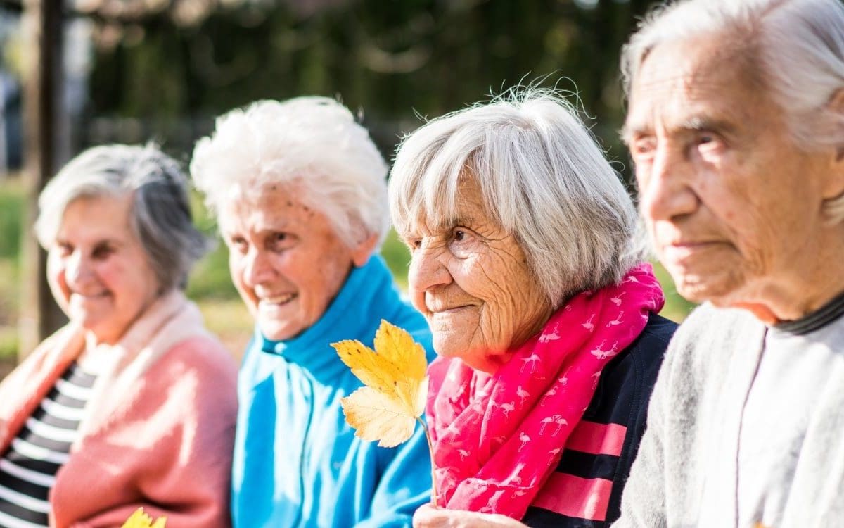 The Role of Financial Literacy in Financial Decisions and Retirement Preparedness among Seniors and Older Adults